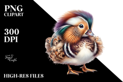 Adorned Baby Duck Watercolor PNG Product Image 2