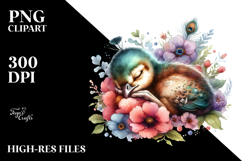 Baby Peacock Watercolor PNG Product Image 2