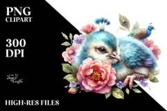 Baby Peacock Watercolor PNG Product Image 2