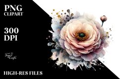 Ranunculus Watercolor Abstract Clipart Product Image 3