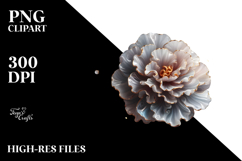 Glossy y Carnation, Transparent PNG Product Image 2