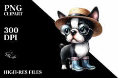 Abstract Watercolor Baby Boston Terrier | Clipart Product Image 3