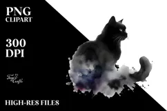 Washy Black Cat, Transparent PNG Product Image 2