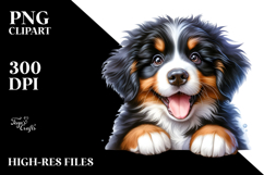 Happy Baby Bernese Mountain Dog, PNG Product Image 2