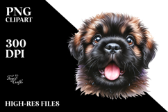 Happy Baby Bullmastiff, Transparent PNG Product Image 2