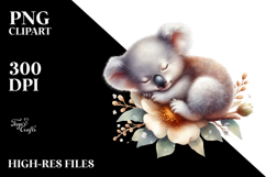 Sleeping Baby Koala on Flower PNG Product Image 2