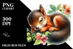 Sleeping Baby Squirrel on Flower PNG Product Image 2