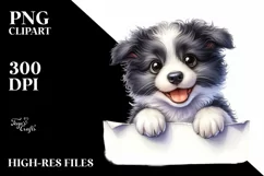 Funny Crazy Baby Border Collie | Watercolor Clipart Product Image 3