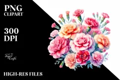 Colorful Carnation Flowers PNG Product Image 3