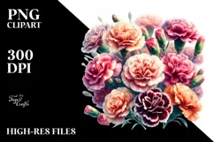 Colorful Carnation Flowers PNG Product Image 3