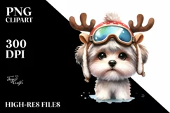 Baby Havanese with Winter Vibes, High-res PNG Product Image 1