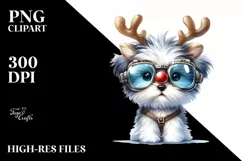 Baby Havanese with Stylish Look, Transparent PNG Product Image 3