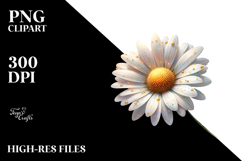 Daisy with Golden Insertions PNG Product Image 2