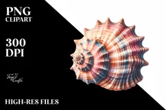 Sea Shell Margarita Flowers USA Flag | Sublimation Clipart Product Image 3