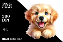 Happy Golden Retriever, Transparent PNG Product Image 2