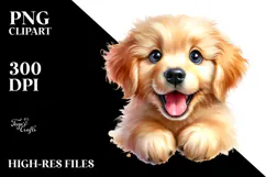 Happy Golden Retriever, Transparent PNG Product Image 2