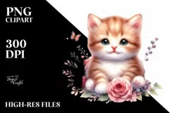 Funny Expressive Cute Baby Cat PNG Product Image 1