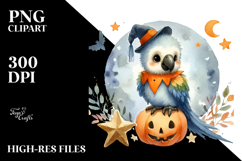 Cute Macaw Standing on Star PNG Product Image 2