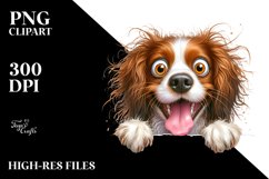 Crazy Looking Furry Brittany | Clipart Product Image 1