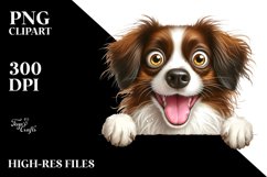 Crazy Looking Furry Brittany | Clipart Product Image 1