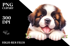 Happy Saint Bernard Baby PNG Product Image 2