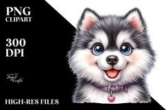 Cute Siberian Husky with Big Eyes PNG Product Image 2