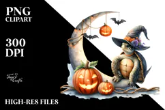 Turtle in Halloween Costume, Transparent PNG Product Image 2