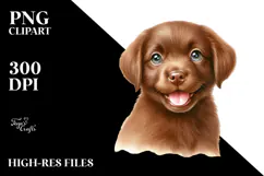 Happy Chesapeake Bay Retriever Baby PNG Product Image 2