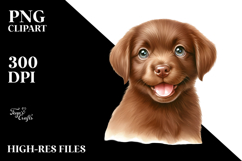 Baby Chesapeake Bay Retriever Watercolor PNG Product Image 2