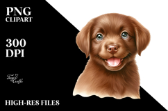 Happy Chesapeake Bay Retriever Baby PNG Product Image 2