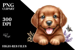 Happy Chesapeake Bay Retriever Baby PNG Product Image 2