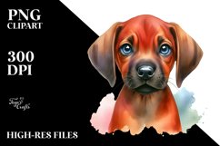 Sublimation|Clipart Product Image 1