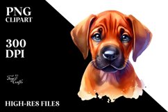 Sublimation|Clipart Product Image 3