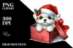 Baby Maltese from Gift Box, Transparent PNG Product Image 1