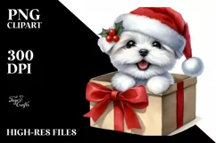 Baby Maltese Gift Box Surprise, High-res PNG Product Image 3