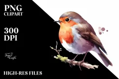 Simple Robin Watercolor Clipart | Sublimation | Clipart Product Image 1