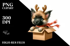 Baby Malinois Gift Box Surprise, Transparent PNG Product Image 3