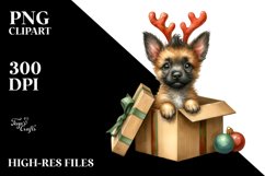 Crazy Malinois Portrait PNG Product Image 3