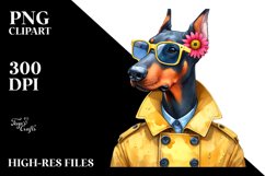 Confused Doberman Pinscher Caricature-Like with Raincoat Product Image 1