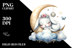 Adorned Baby Rabbit in Dream PNG Product Image 2
