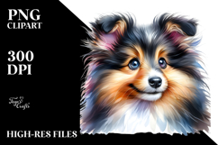 Watercolor Baby Shetland Sheepdog with Big Eyes PNG Product Image 2