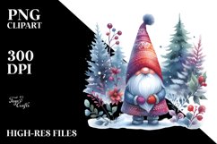 Washed Vibrant Winter Gnome, PNG Product Image 3