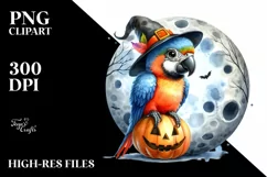 cute Macaw with Party Hat, High-Res PNG Product Image 1