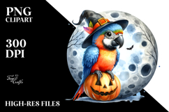 cute Macaw with Party Hat, High-Res PNG Product Image 2