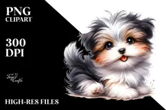 Baby Havanese with Big Eyes PNG Product Image 2