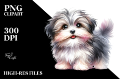 Watercolor Baby Havanese with Big Eyes, Transparent PNG Product Image 2