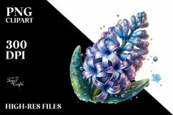 Shiny Watercolor Hyacinth | Sublimation | Clipart Product Image 1