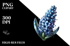Shiny Watercolor Hyacinth | Sublimation | Clipart Product Image 3
