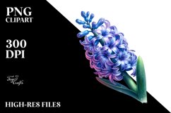 Shiny Hyacinth | Sublimation | Clipart Product Image 1