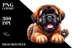 Baby Bullmastiff with Big Eyes PNG Product Image 2